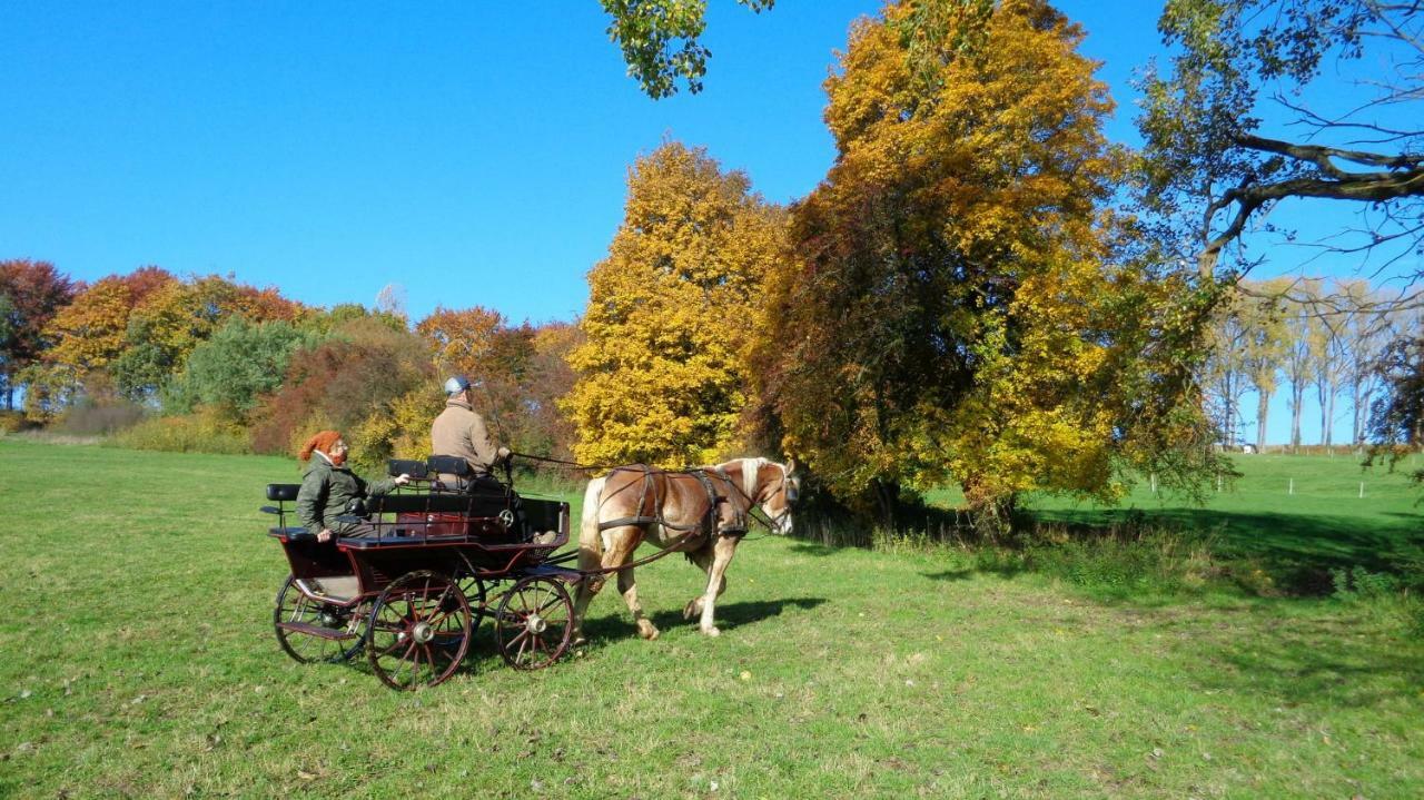 Aux 4 Saules De 4 Wilgen Bed & Breakfast Modave Exterior photo